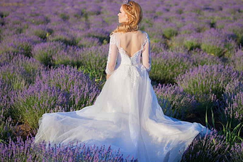 Beautiful Bride, lovely, lavender field, gown, wedding, women, HD ...