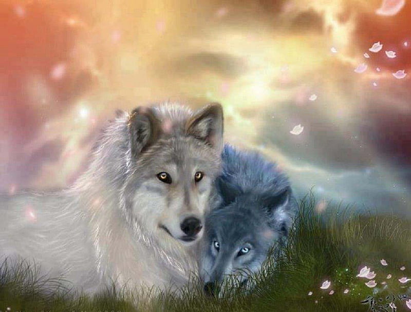 My Sunshine, fantasy, wolves, abstract, animals, dogs, HD wallpaper