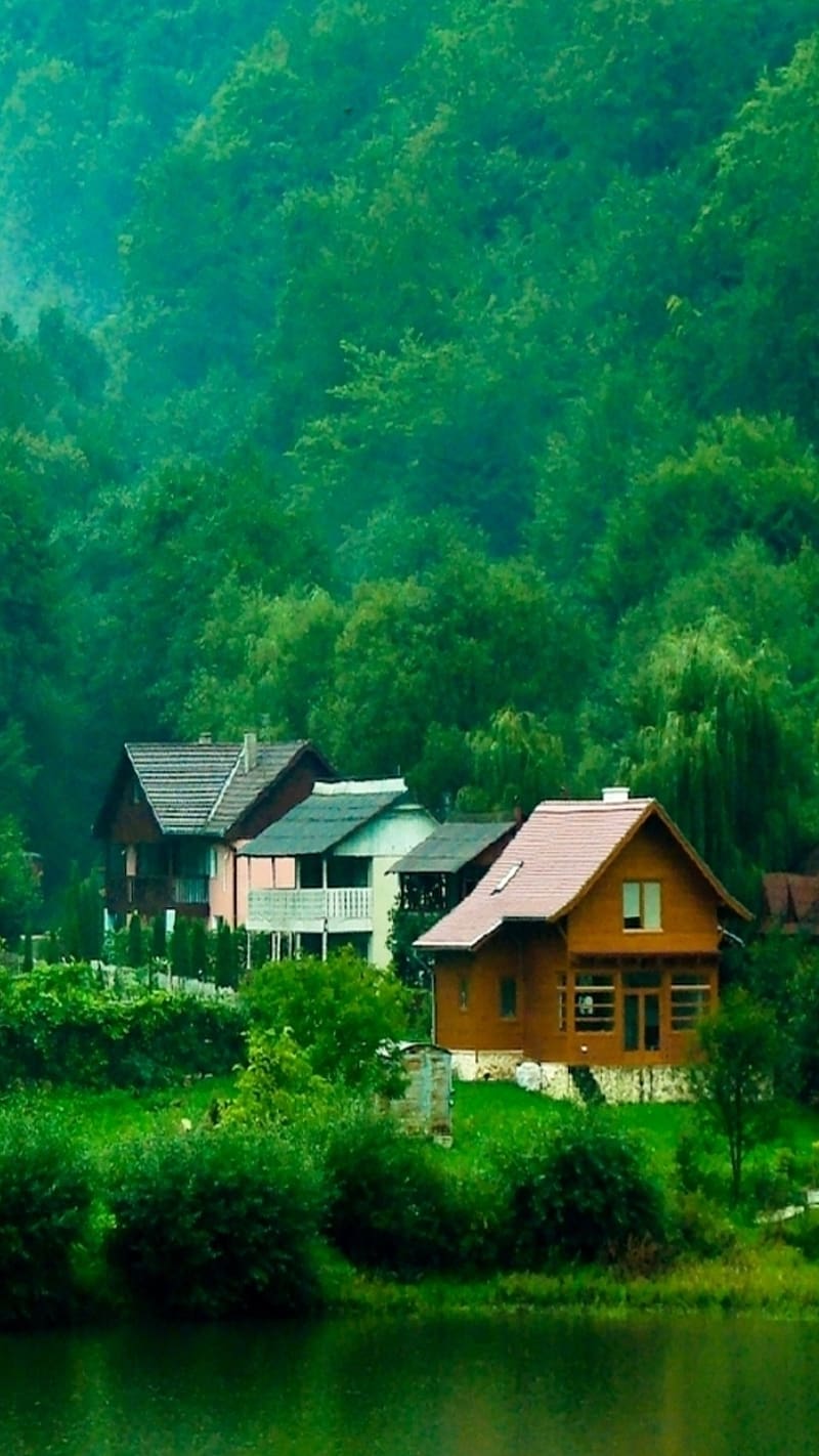Beautiful For, House Between Forest, nature, trees, HD phone wallpaper