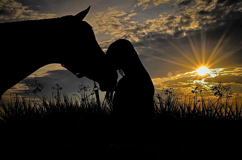Sundown Silhouette . ., cowgirl, Silhouette, ranch, horse, women, outdoors, style, western, HD wallpaper
