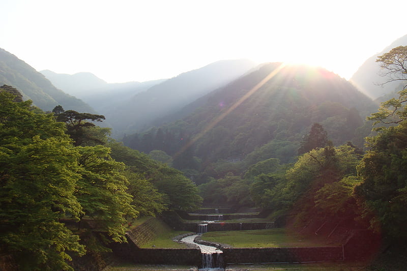 YORO-JAPAN, forest, japan, yoro, sunset, parc, HD wallpaper