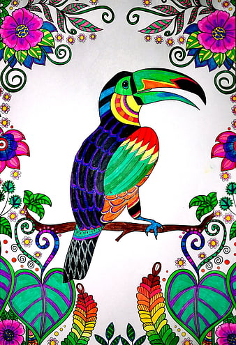 HD birds and mandalas wallpapers | Peakpx