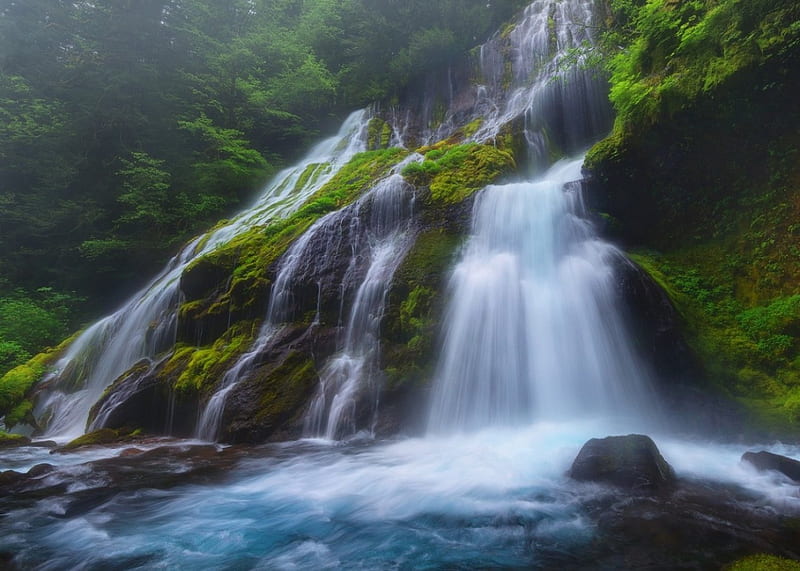 Into The Mist, waterfall, tree, nature, green, HD wallpaper | Peakpx