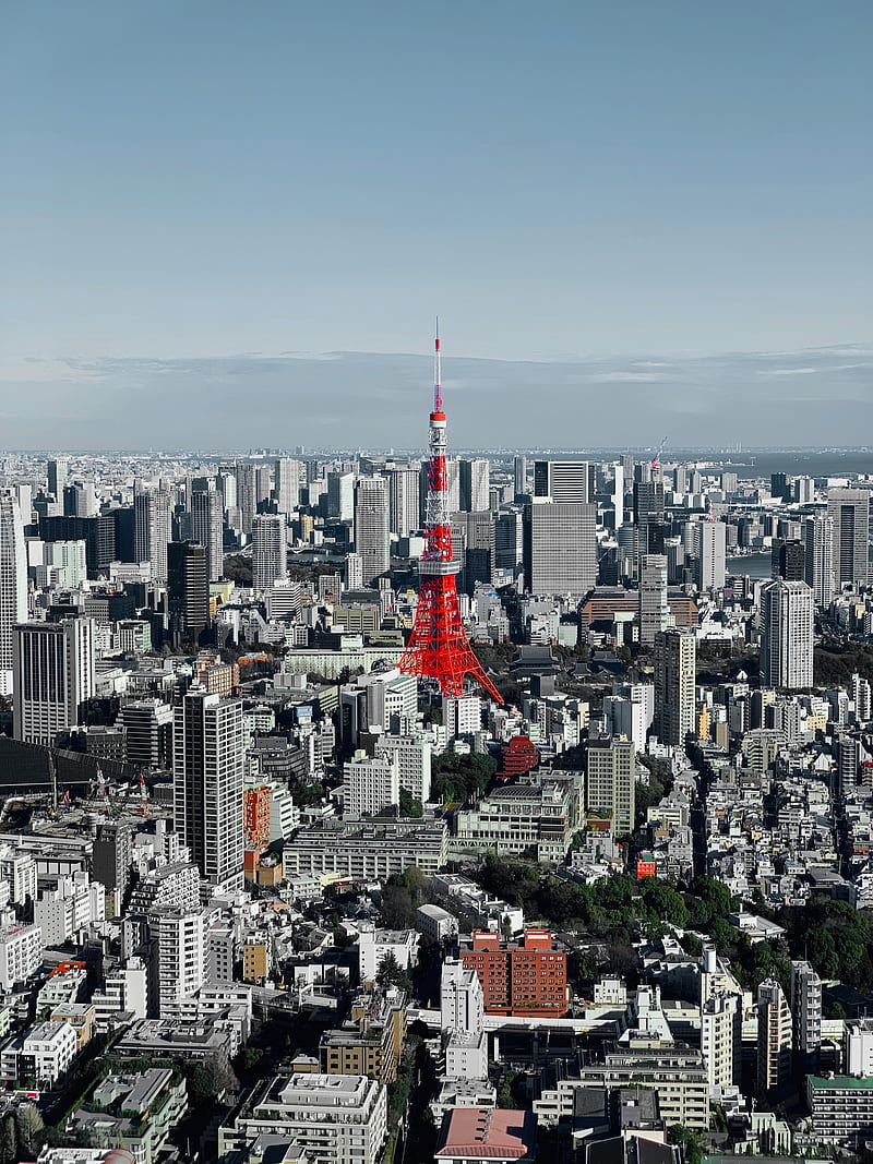 tower, city, aerial view, buildings, HD phone wallpaper
