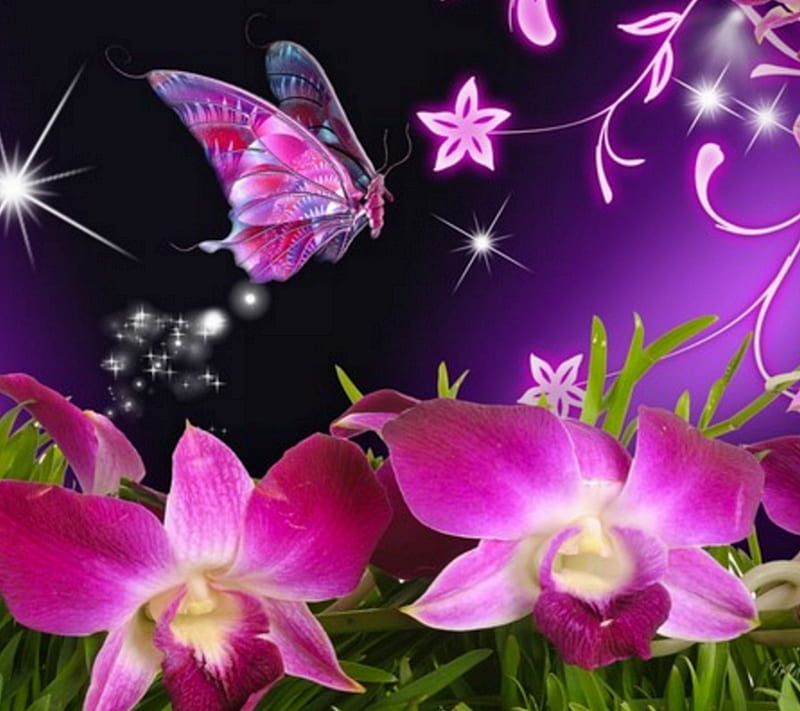 butterfly, meadow, purple, purple flowers, HD wallpaper