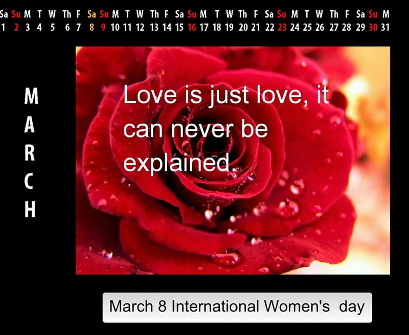 Happy International Women's day, March, calendars, rose, love, flowers, woman, HD wallpaper