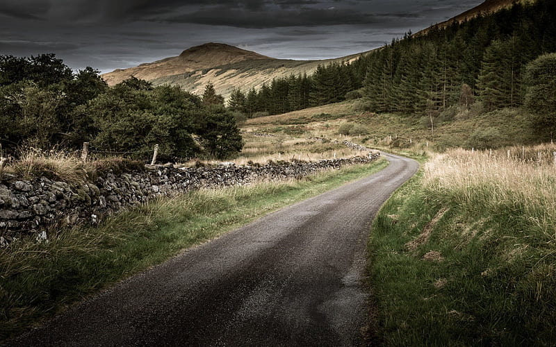 england, country road, stone fence, mountains, forest, HD wallpaper