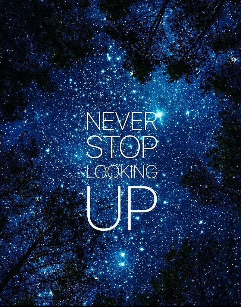 never, haters, lock, looking, night, stars, stop, tree, up, wise, HD phone wallpaper