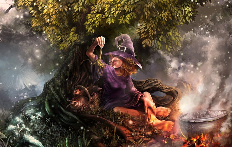 Witch's Stew, witch, frog, fire, stew, tree, pot, HD wallpaper