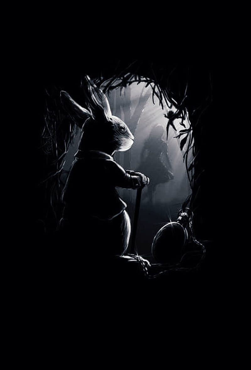 Rabbit Hole , alice, alice in wonderland, art, rabbit hole, white rabbit, wonderland, HD phone wallpaper