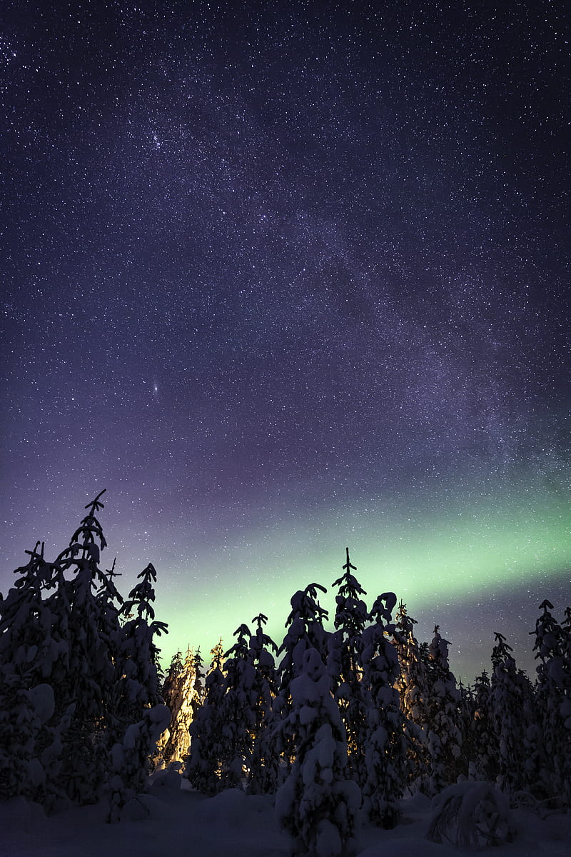 starry night, winter, aurorae, HD phone wallpaper