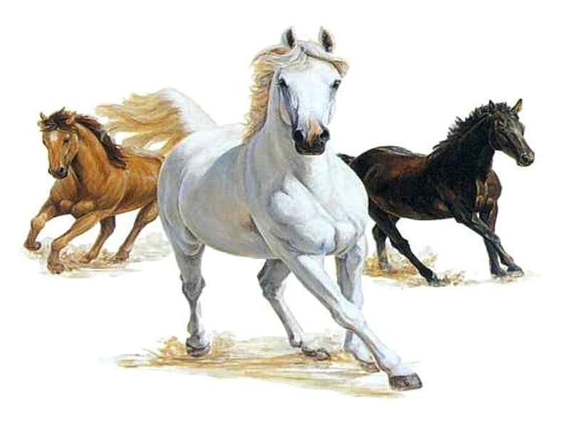 Three Horses, art, brown, black, horse, mane, drawing, painting, white, gallop, HD wallpaper