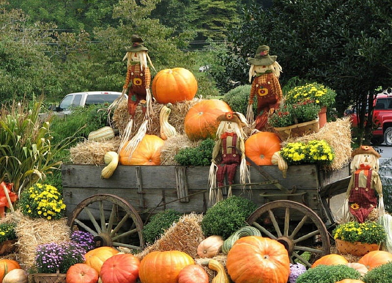 Scarecrows in a wagon, fall season, scarecrows, wagon, garden, nature ...