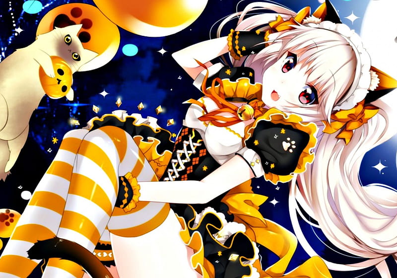 CatGirl, witch, halloween, manga, yellow, cat, animal, duji amo, anime, white, cat girl, blue, HD wallpaper