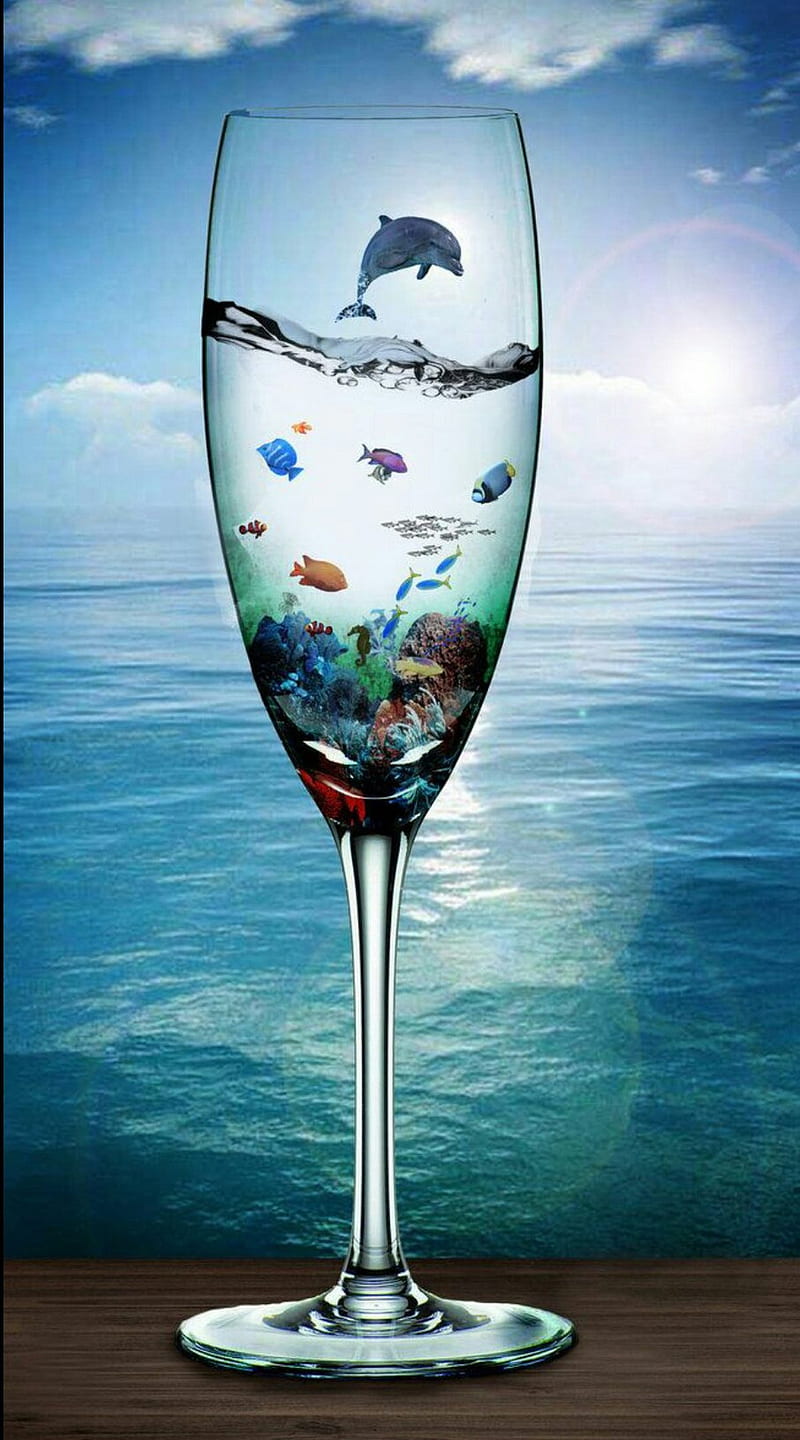 sea, cup, fish, sky, water, HD phone wallpaper
