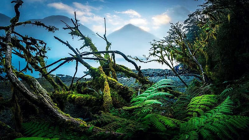 Milford Sound, New Zealand, plants, mountains, peaks, clouds, landscape, sky, HD wallpaper