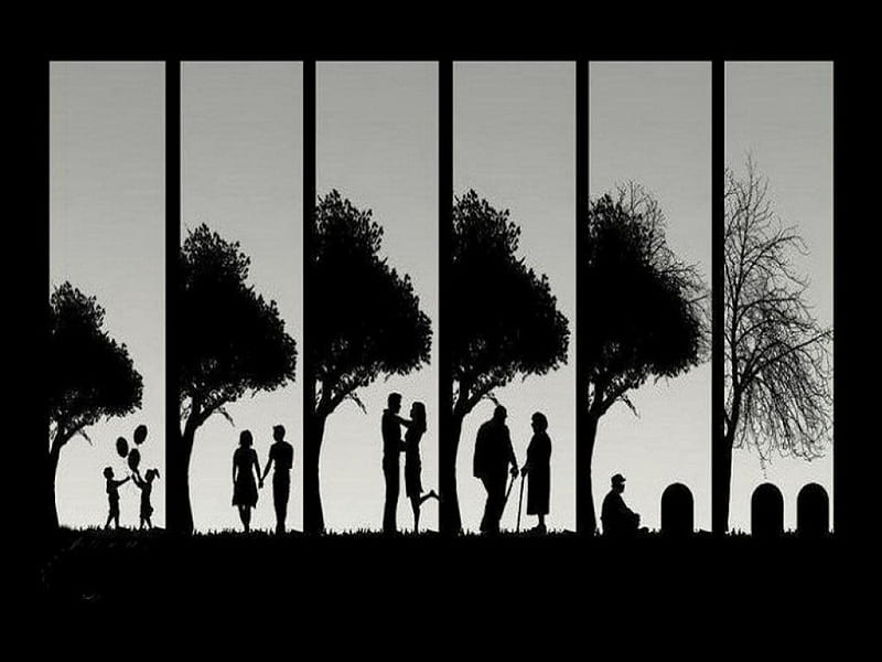 Cycle of life, panels, cycles, stages of life, people, HD wallpaper