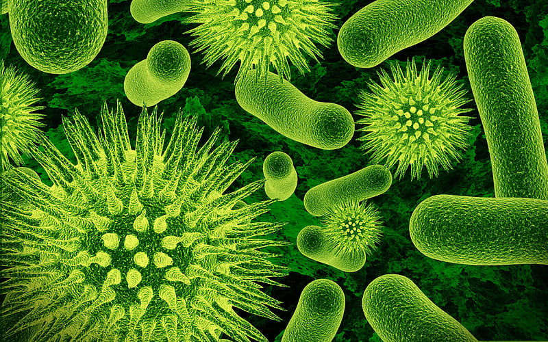 bacteria, microscope, green microorganisms, biology, science concepts, HD wallpaper