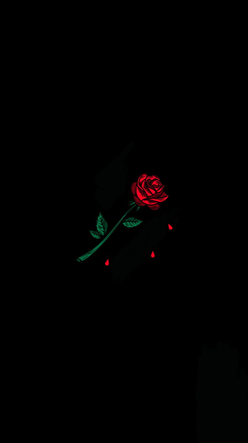 Red Rose, romantic, HD phone wallpaper | Peakpx