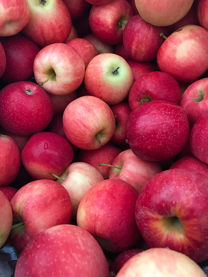 apples, fruit, drops, harvest, red, HD phone wallpaper
