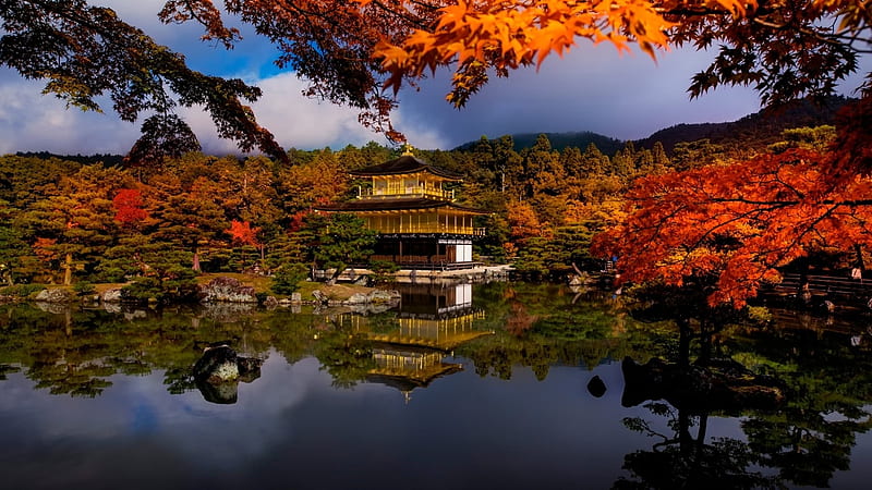 Golden Pavilion, autumn, japanese, golden, lake, japan, kyoto, shrine, temple, nature, scenery, HD wallpaper