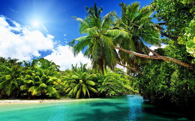 tropics, blue water, harbor, palm trees, sea, paradise, summer travel, HD wallpaper
