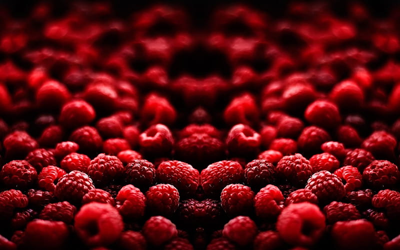 raspberry berry red-Macro, HD wallpaper
