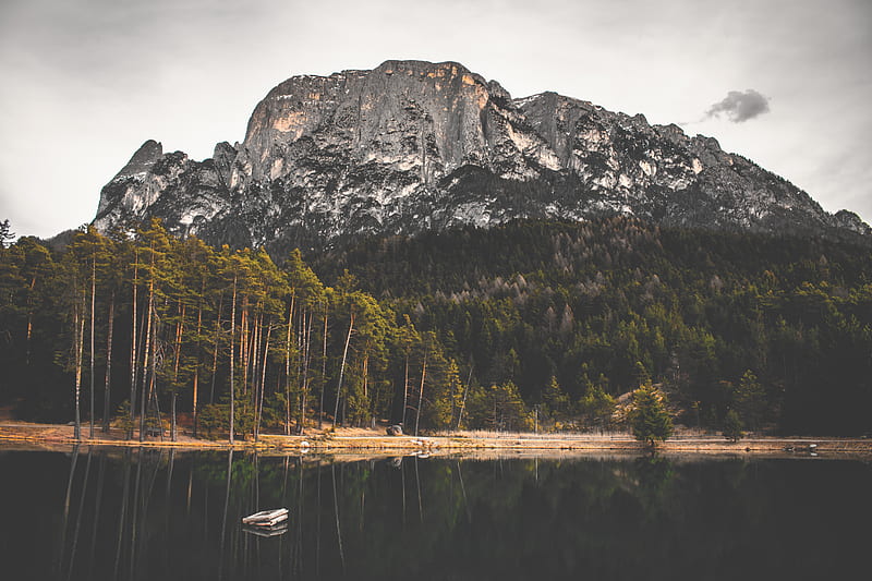 rock, lake, forest, trees, HD wallpaper