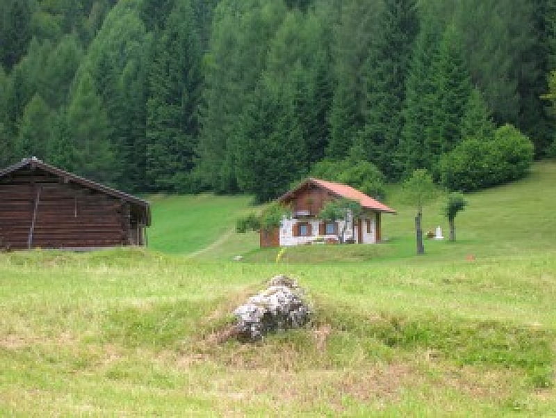 Baita alpina, boschi, baita, hut, alpine meadows, prati, alpi, forests, HD wallpaper