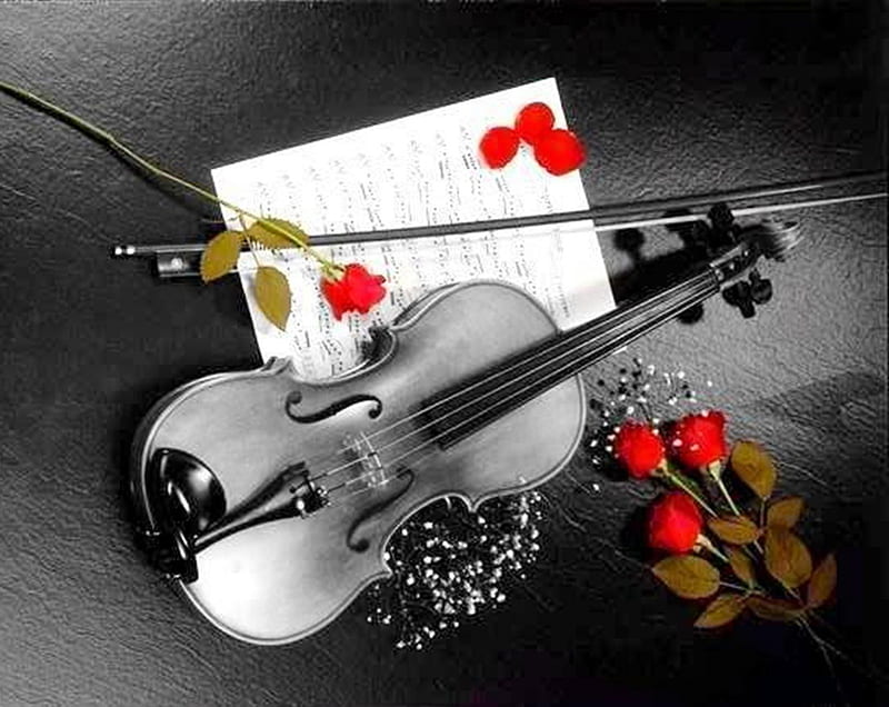 Lyrical, flowers, violin, roses, music, HD wallpaper | Peakpx
