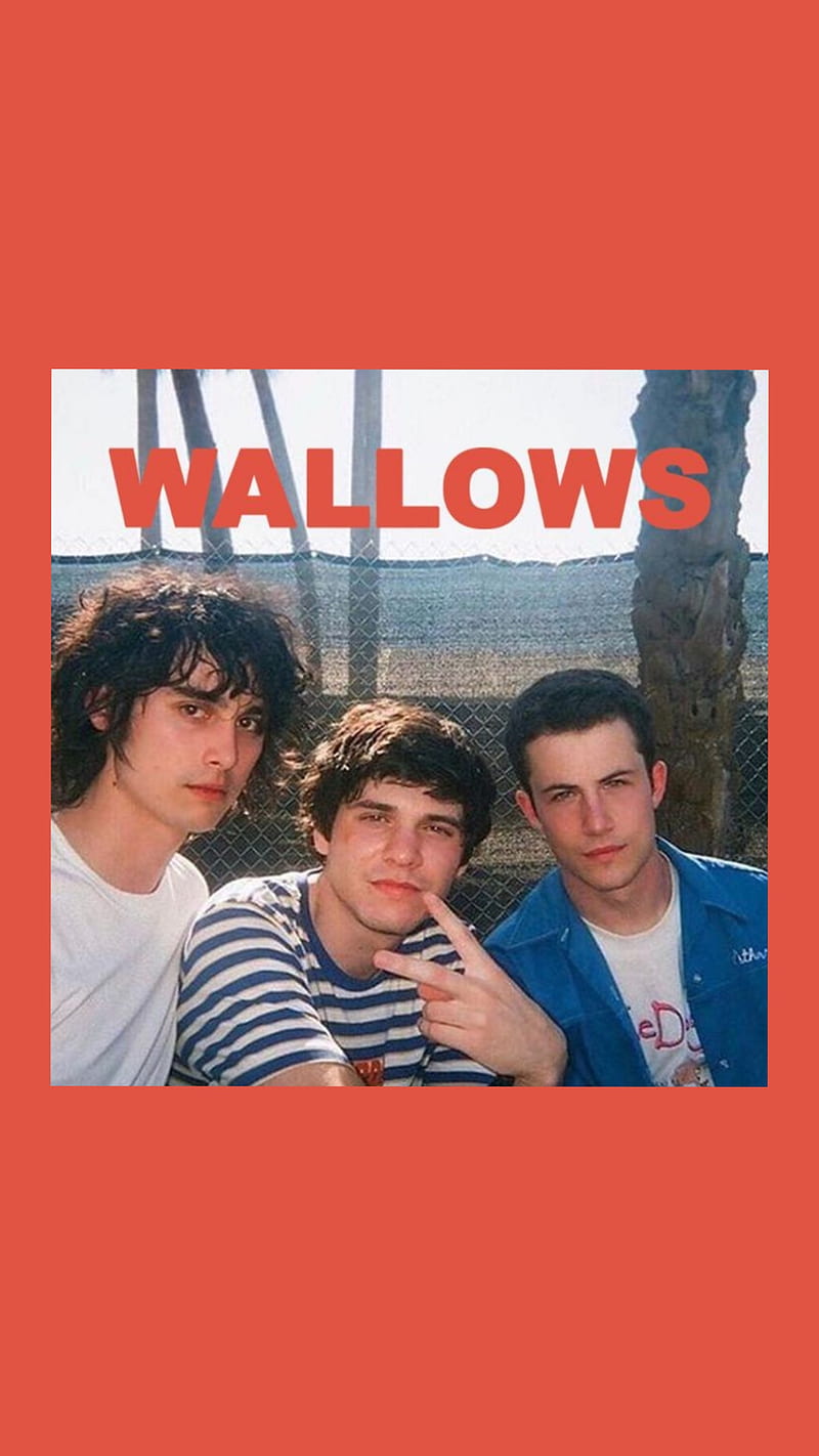 wallows wallpaper  Cole preston Band wallpapers The love club
