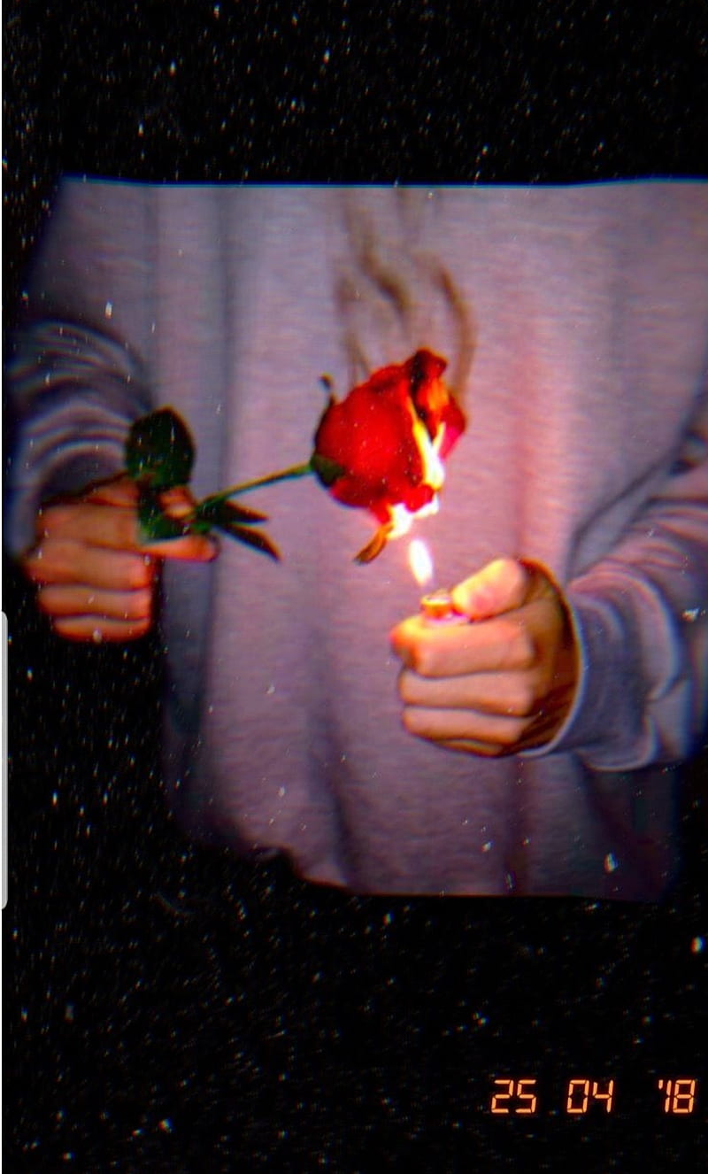 burning roses, rose, HD phone wallpaper