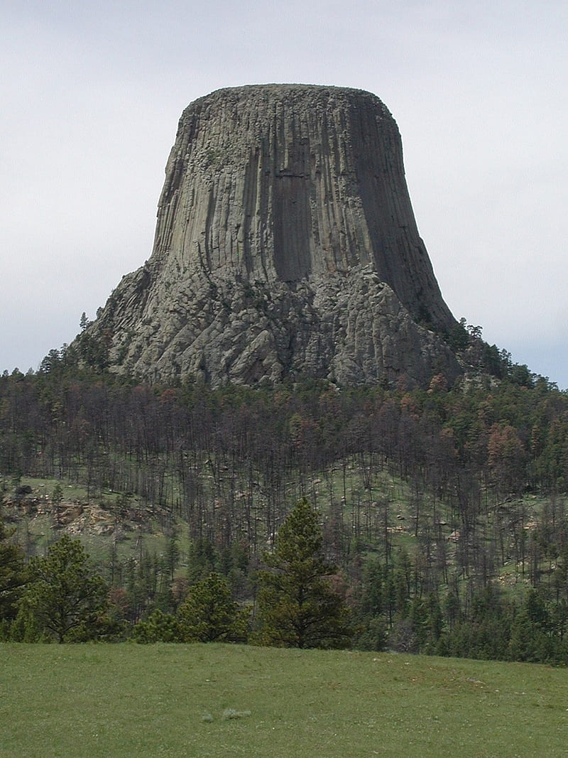 Devil Tower Wyoming, devel, monument, mountain, national, strand, tower, us, wyoming, HD phone wallpaper