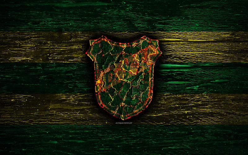 Defensa y Justicia FC, fire logo, Argentine Primera Division, green and yellow lines, Argentinean football club, AAAJ, Argentina Superliga, football, soccer, logo, CSD Defensa y Justicia, wooden texture, Argentina, HD wallpaper