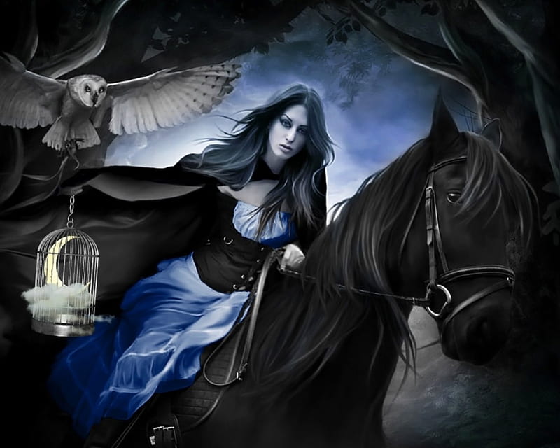 No other full moons without him..., owl, black, horse, woman, brunette, fantasy, moon, girl, half, cage, darkness, white, HD wallpaper