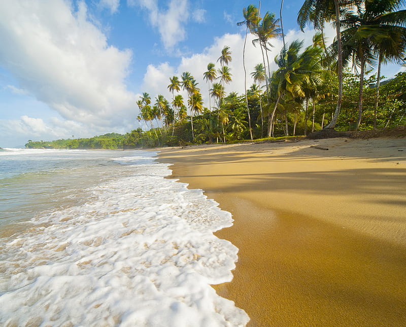 Blanchisseuse Beach, trinidad, HD wallpaper