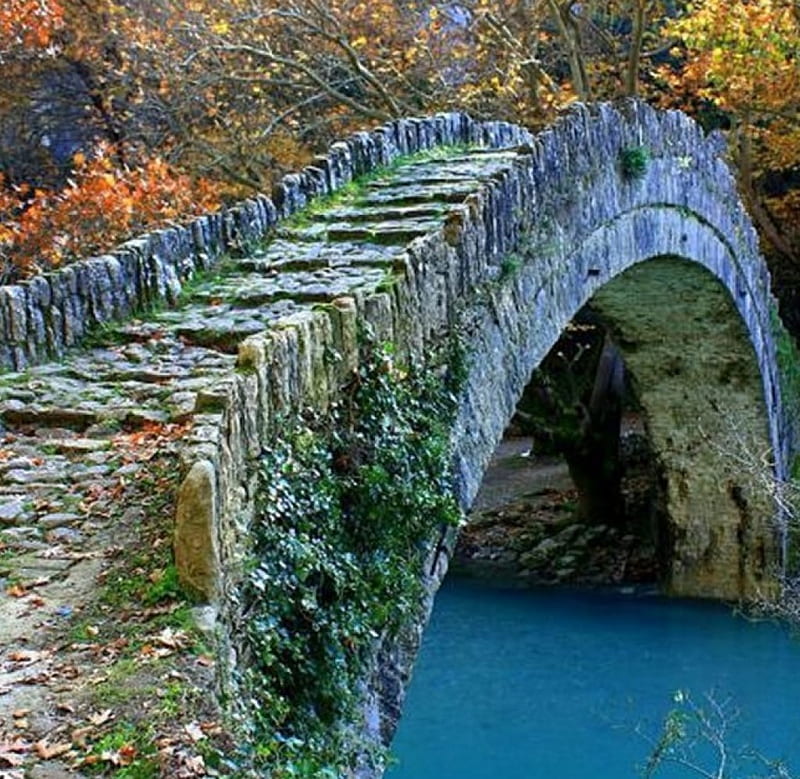 walk over the stone bridge, autumn, walk, bridge, stone, HD wallpaper