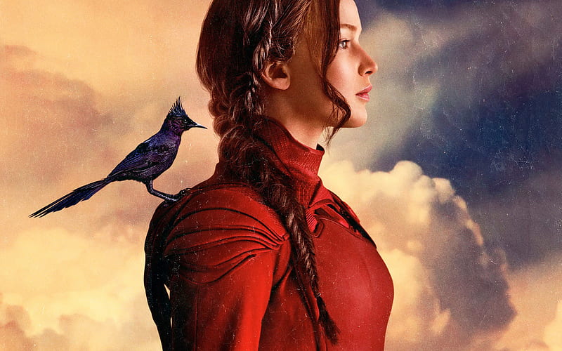 the hunger games-High Quality, HD wallpaper