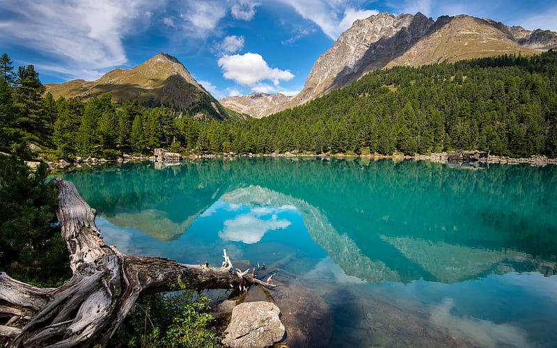 Saoseo Lake blue lake, mountains, summer, Lakes of Switzerland, Poschiavo, Grisons, Alps, Switzerland, beautiful nature, HD wallpaper