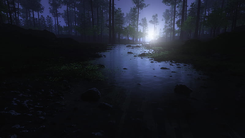 Water Stream Night Forest , forest, water, night, nature, HD wallpaper