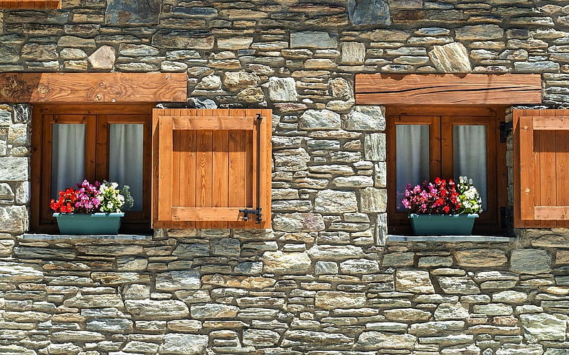 Windows with Flowers, flowers, windows, wall, wooden, HD wallpaper