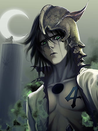 Ulquiorra Cifer, anime, splitting, Bleach, Kurosaki Ichigo, Espada -  wallpaper #63018 (2429x1326px) on