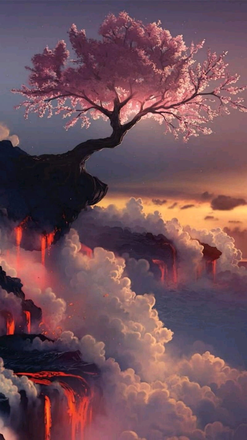 Sunrise, cherry blossom, sakura, luminos, spring, sea, mountain, water,  japan, HD wallpaper | Peakpx