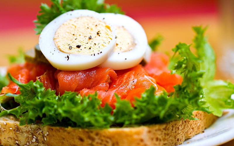 Egg, sandwich, boiled, food, HD wallpaper