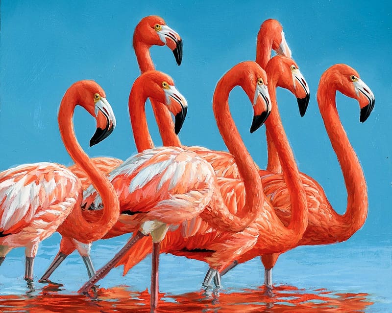 Flamboyance, burd, blue, pink, flamingo, art, jon ching, orange, pasari, HD wallpaper