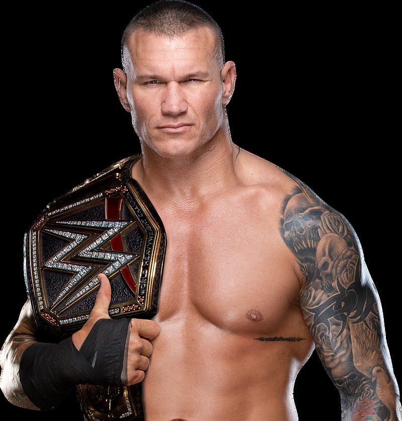 CM Punk Emulates Randy Orton's Signature Pose After WWE Survivor Series