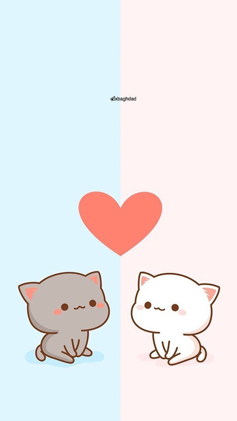 Kittens love uwu, girls, kawaii, HD phone wallpaper | Peakpx