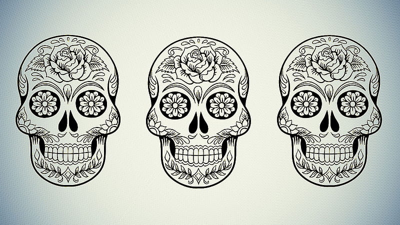 Three Skull Head - Decal - - - Tip, Skull Heads, HD wallpaper