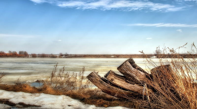 dead tree stump by a frozen river r, weeds, river, r, frozen, stump, HD wallpaper