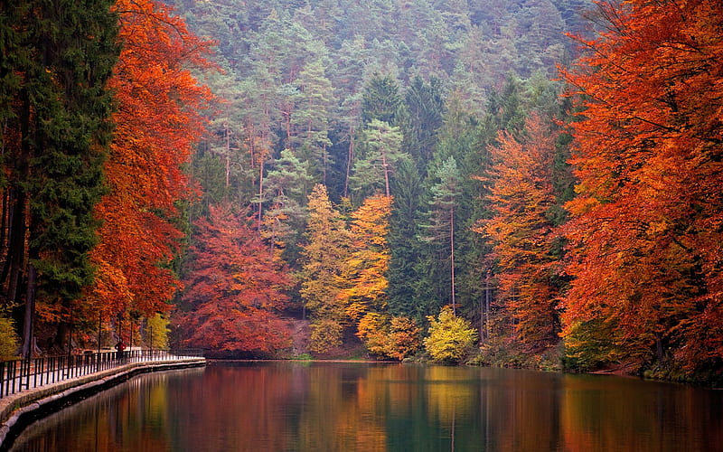 mountain lake, Alps, autumn, forest, mountains, autumn landscape, Germany, Saxon Switzerland National Park, HD wallpaper